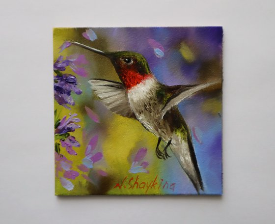 Hummingbird