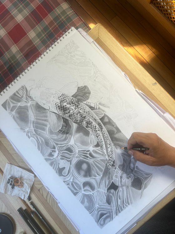 Koi Carp Pencil Drawing