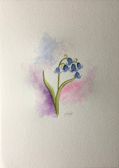 Blue bells by Amelia Taylor