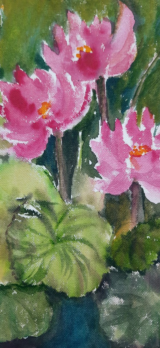 Set of two Water Lily Ponds