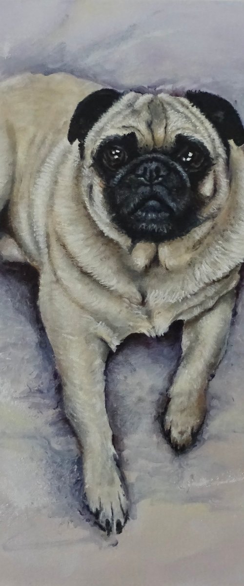 Little Pug by Mel Davies Original Art