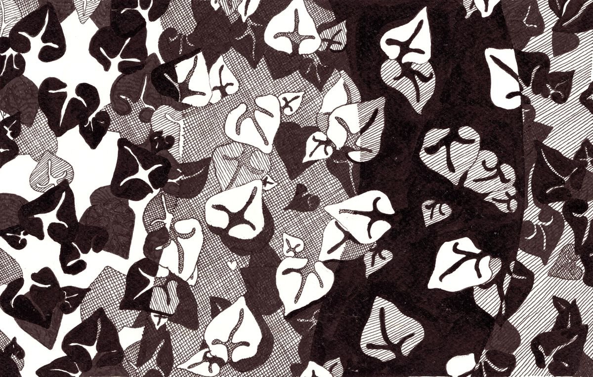 IVY PATTERN Ink Drawing by Nives Palmic