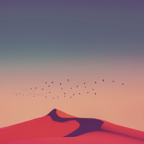 Desert FLight by Nadia Attura