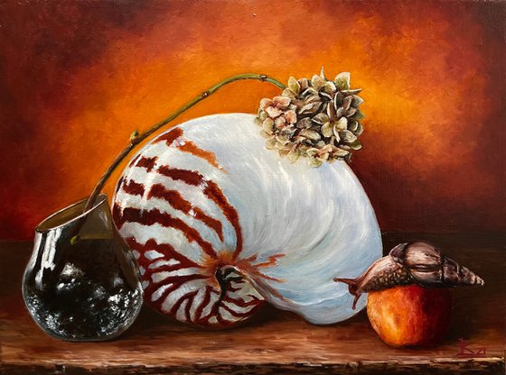 The Still Life With A Nautilus Shell Oil Painting By Oleg Baulin Artfinder