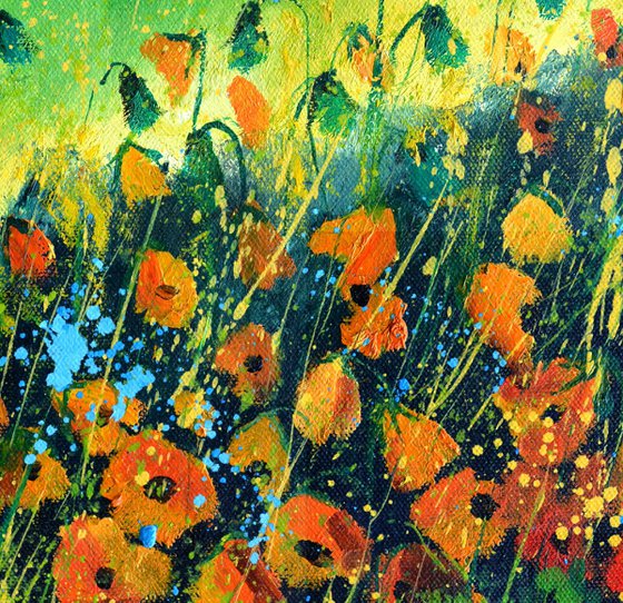 Poppies - 4523