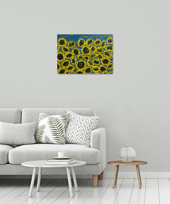 Blooming sunflowers 6