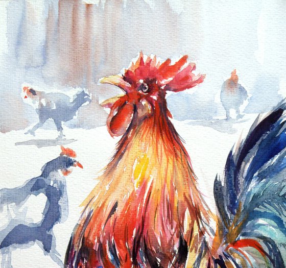 Rooster