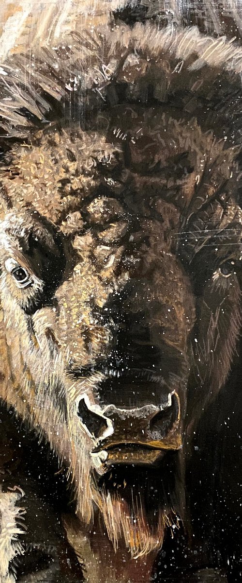 Nature's Power by Paul Cheng