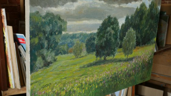 Before The Storm. The July Day - original sunny summer painting