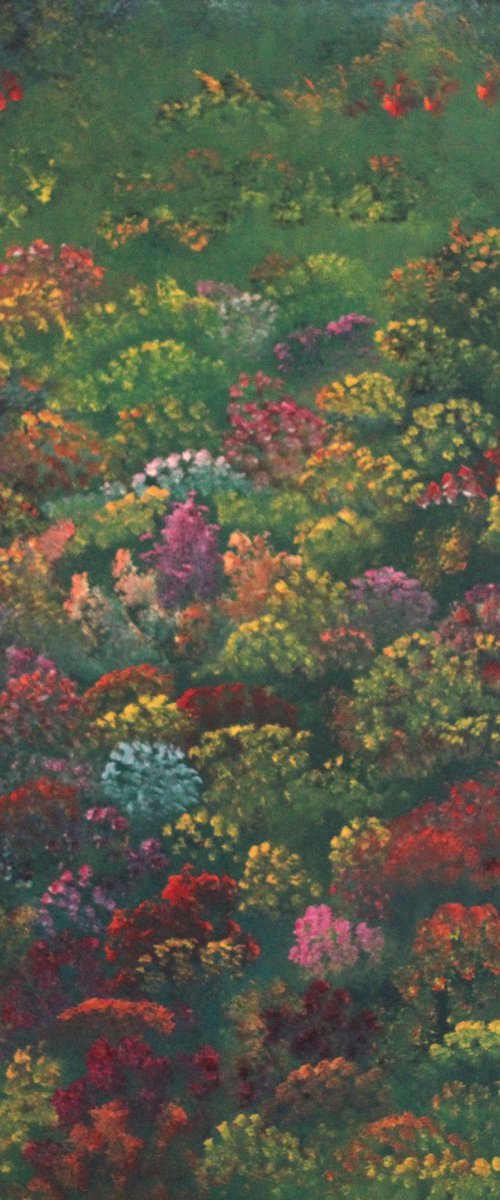 Nature's Jewels by David Snider