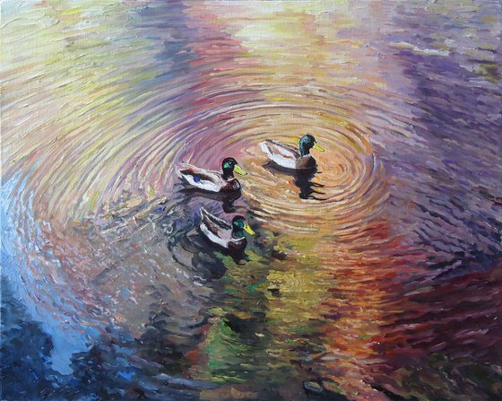 Ducks (rainbow study)
