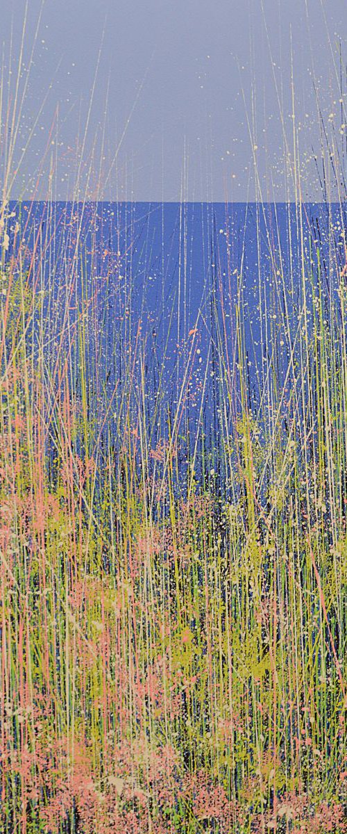 Vivid Spring Colours by Marc Todd