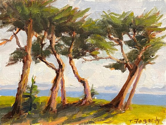 Cypress Trees plein air sketch