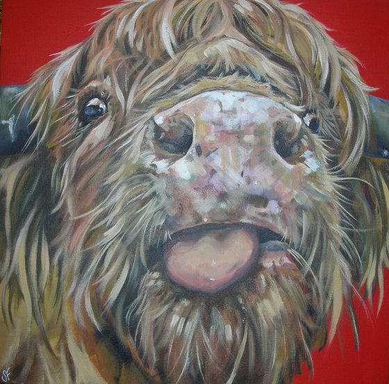 'Cheeky Cow' Highland Cow Original