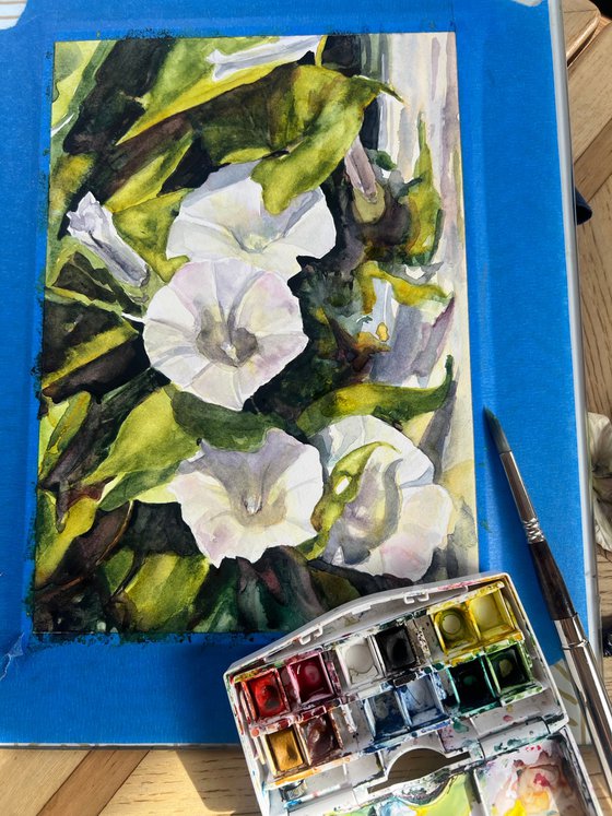 Trumpets in White