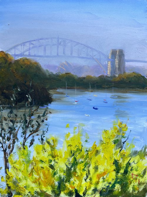 Sydney harbour with golden wattle by Shelly Du