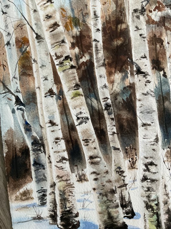 Birch family , original watercolour