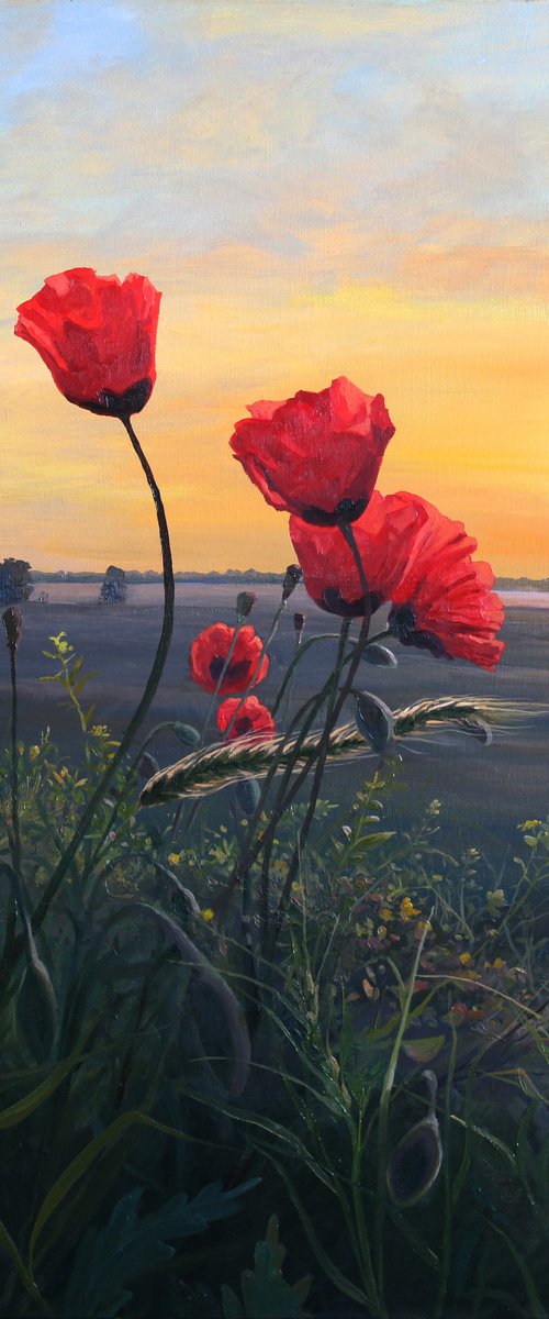 Poppies. Dawning. 80x80 cm. by Linar Ganeev