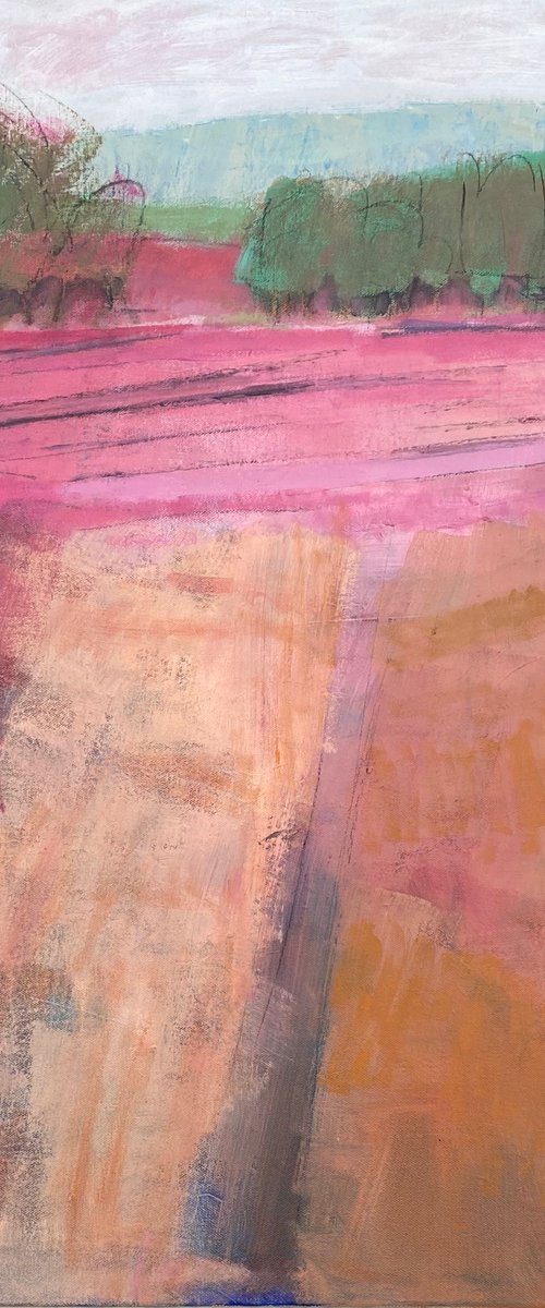 Quiet Field with Pink by Chrissie Havers