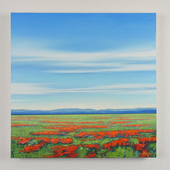 Spring Poppy Field - Colorful Flower Field Landscape