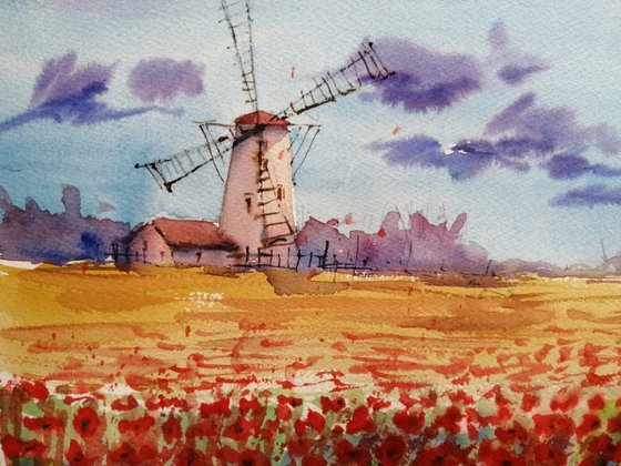poppies field 4