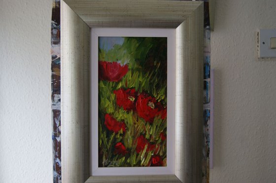 Red Poppies (X15)
