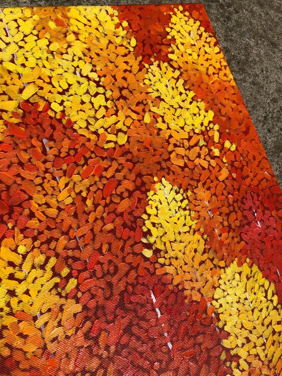 Fall, aspens