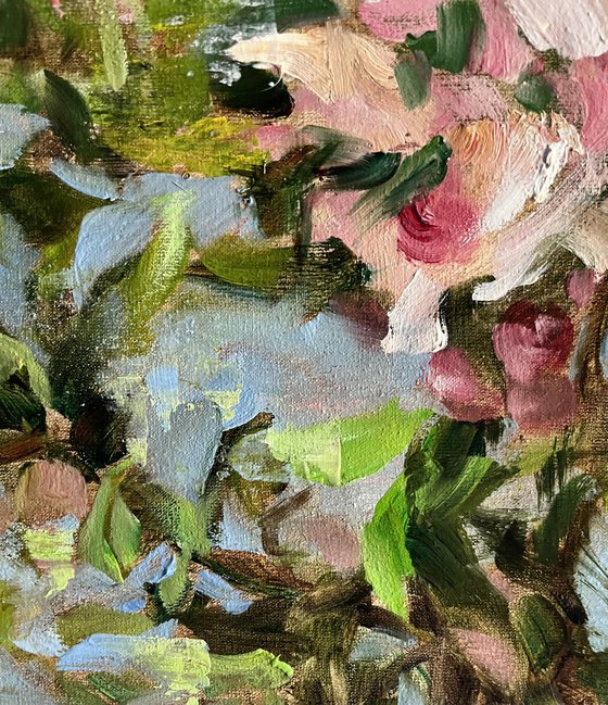 TENDERNESS - BLOOM