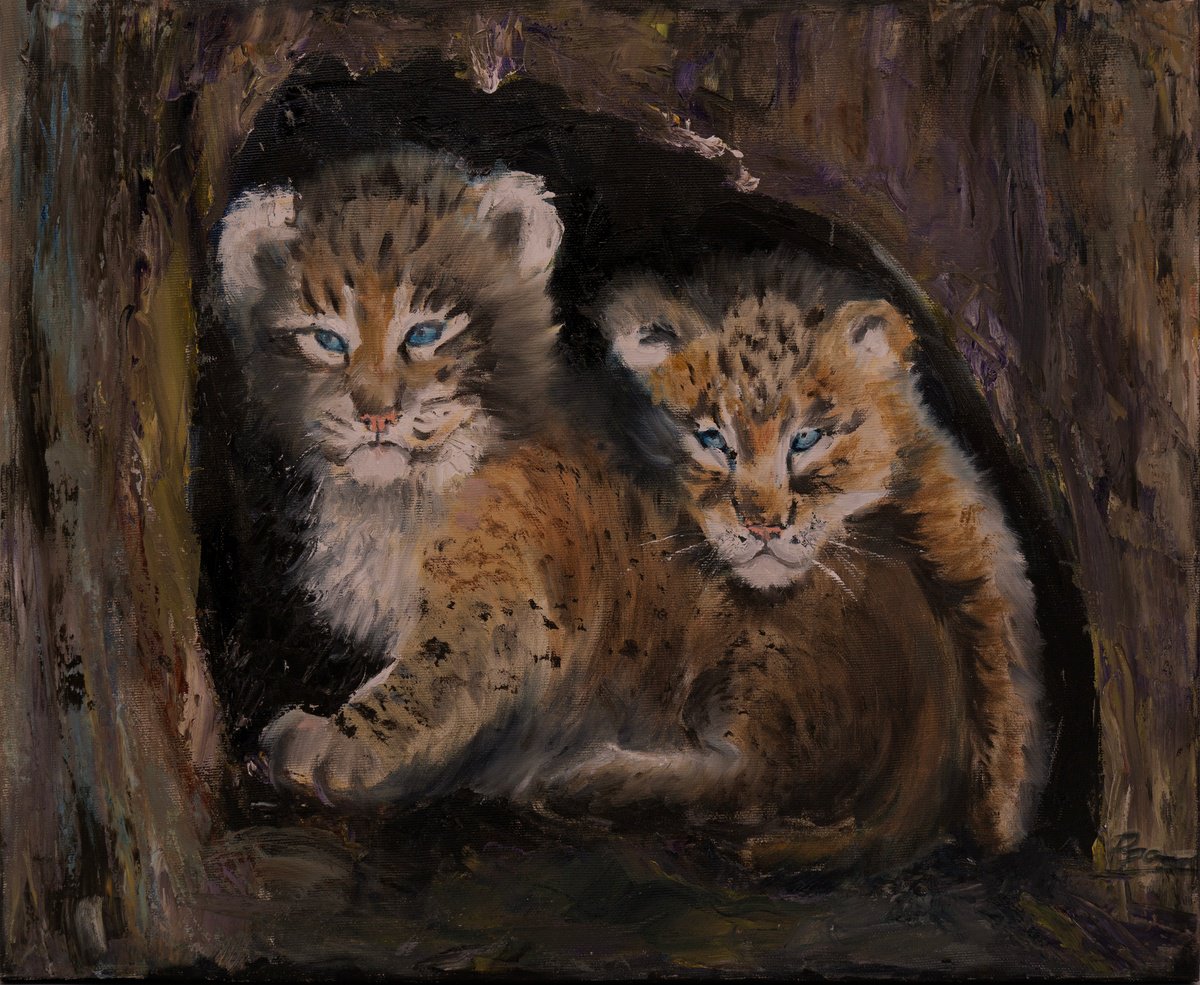 Lynx Cubs By Olga Tchefranov (Shefranov), 20 X 15, Artwork For Sale On Artfinder