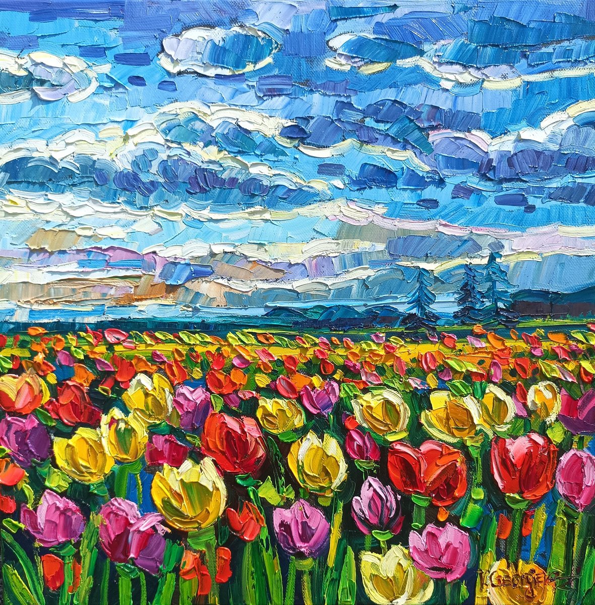 Tulips field by Vanya Georgieva