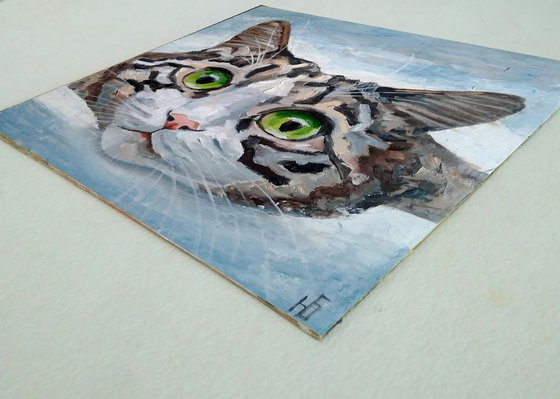 Tabby Cat