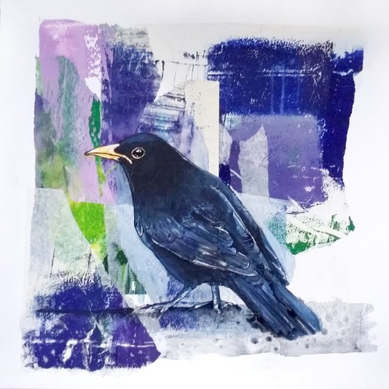 Blackbird collage - framed and ready to hang