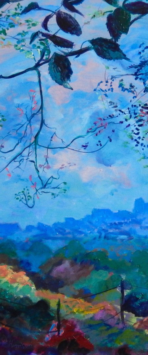 'Edinburgh Castle from The Botanical Gardens' by Stephen Howard Harrison