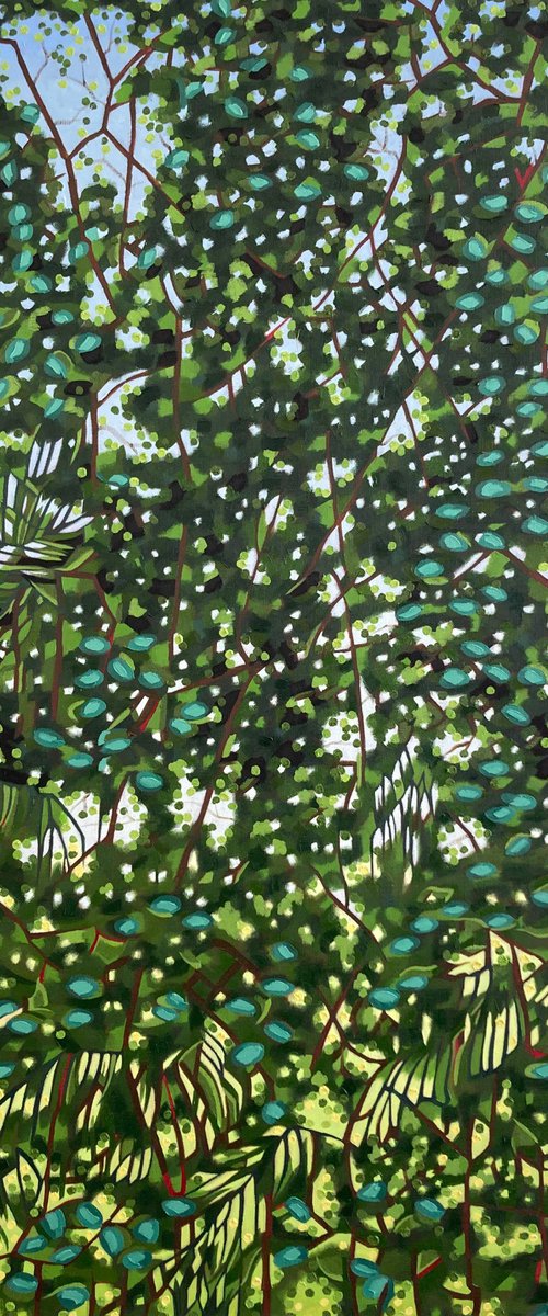 Cloud Forest by Tarja Laine