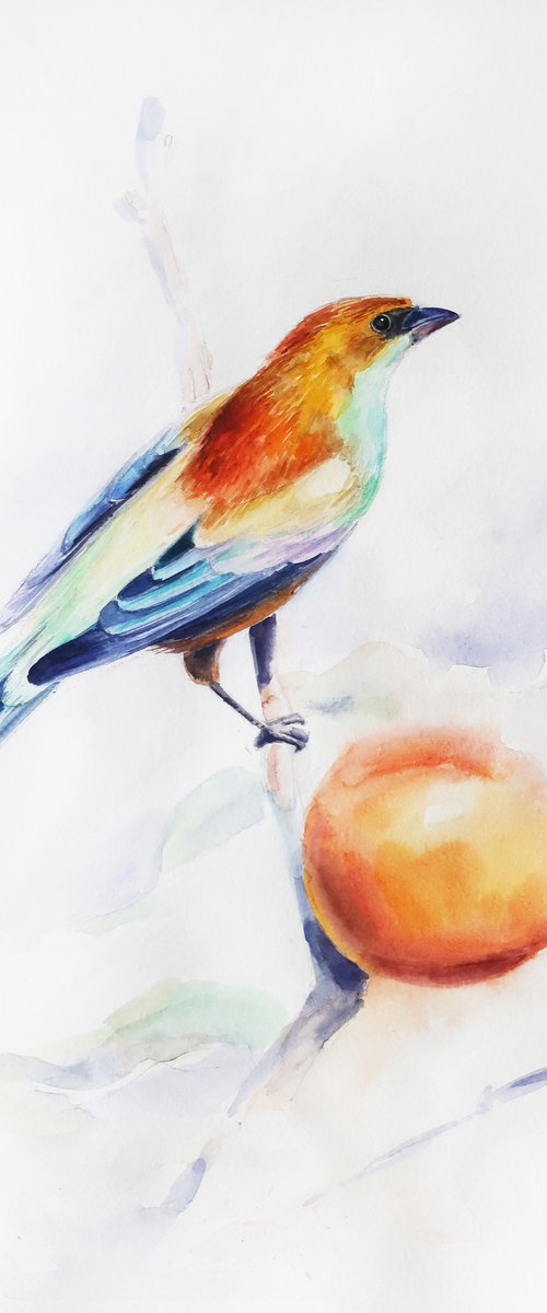 Bird by Anna Shchapova