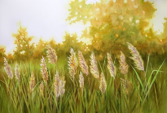 Sun Bathed Meadow - Dry Grass - Summer Landscape - Landscapes - Watercolor