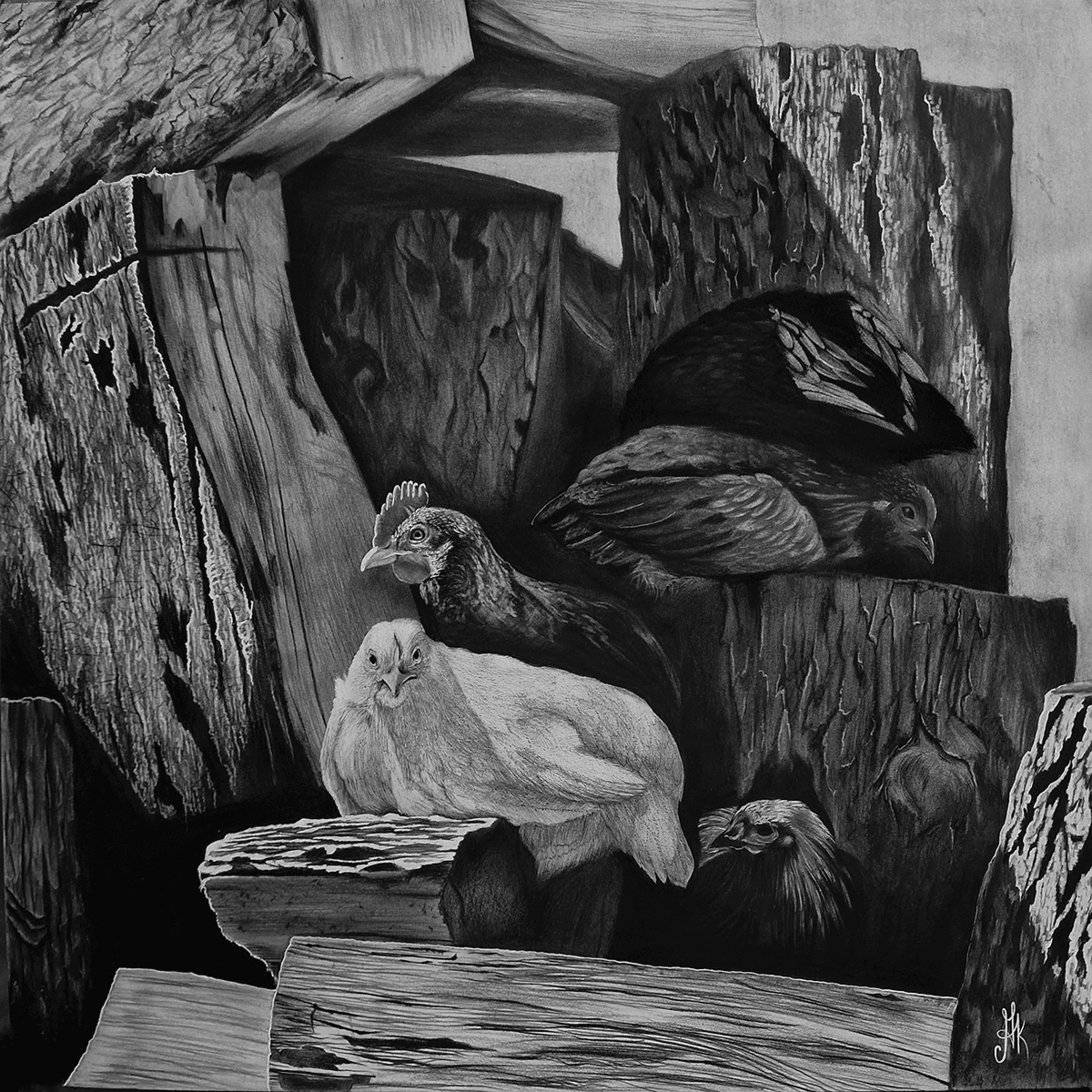 Photorealistic Animal Charcoal Drawing By Kateryna Kostyk, 17 X 17", "Young Flock", Original Artwork