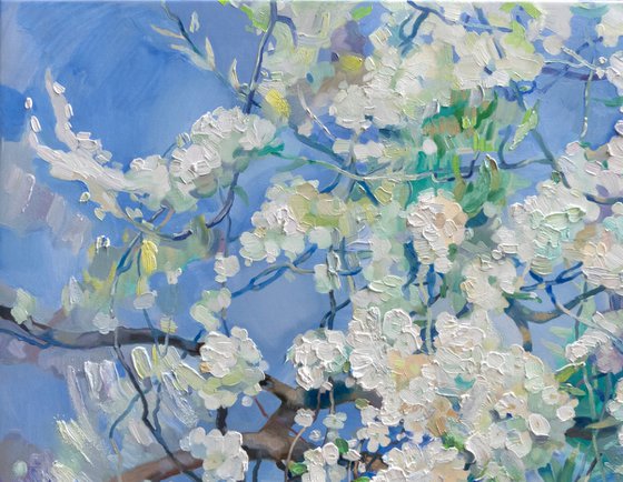 White Miracle of Spring