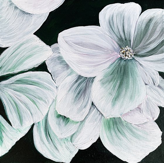 Magnolia white petals Flowers set