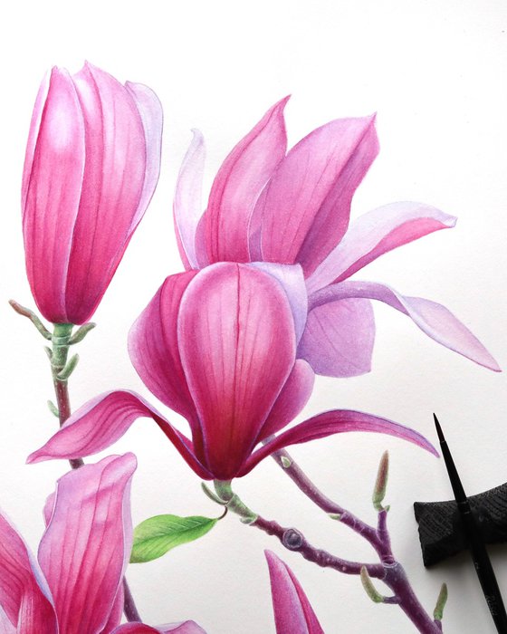 Magnolia Whisper