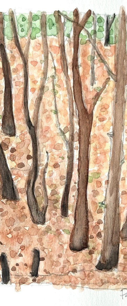 Debden woods by Steve Potts