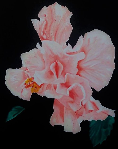 Blooming by Kharl Louis-Jean