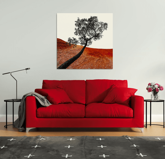 Uluru Tree