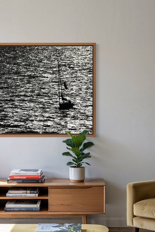 Sail by Tal Paz-Fridman