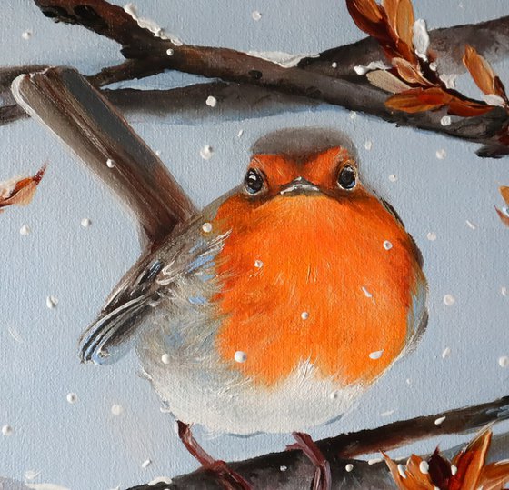 Winter Robin in Snow