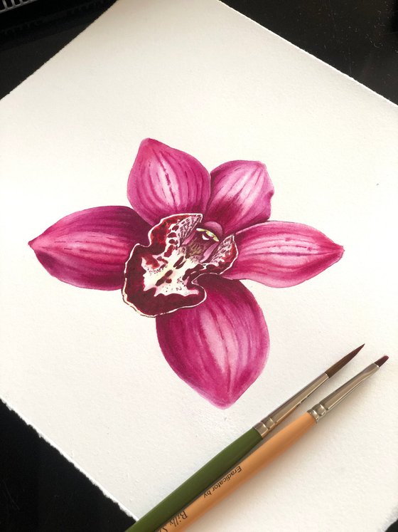 Orchid Cymbidium. A series of original watercolour artwork.