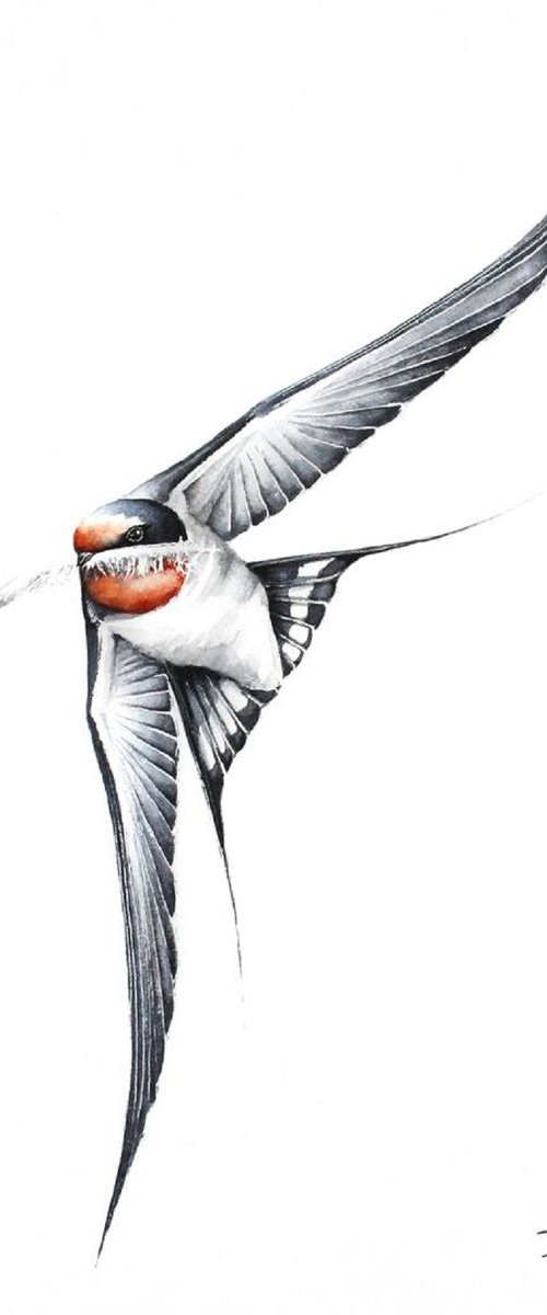 Framed Flying Swallow, wildlife, bird, watercolour painting by Karolina Kijak