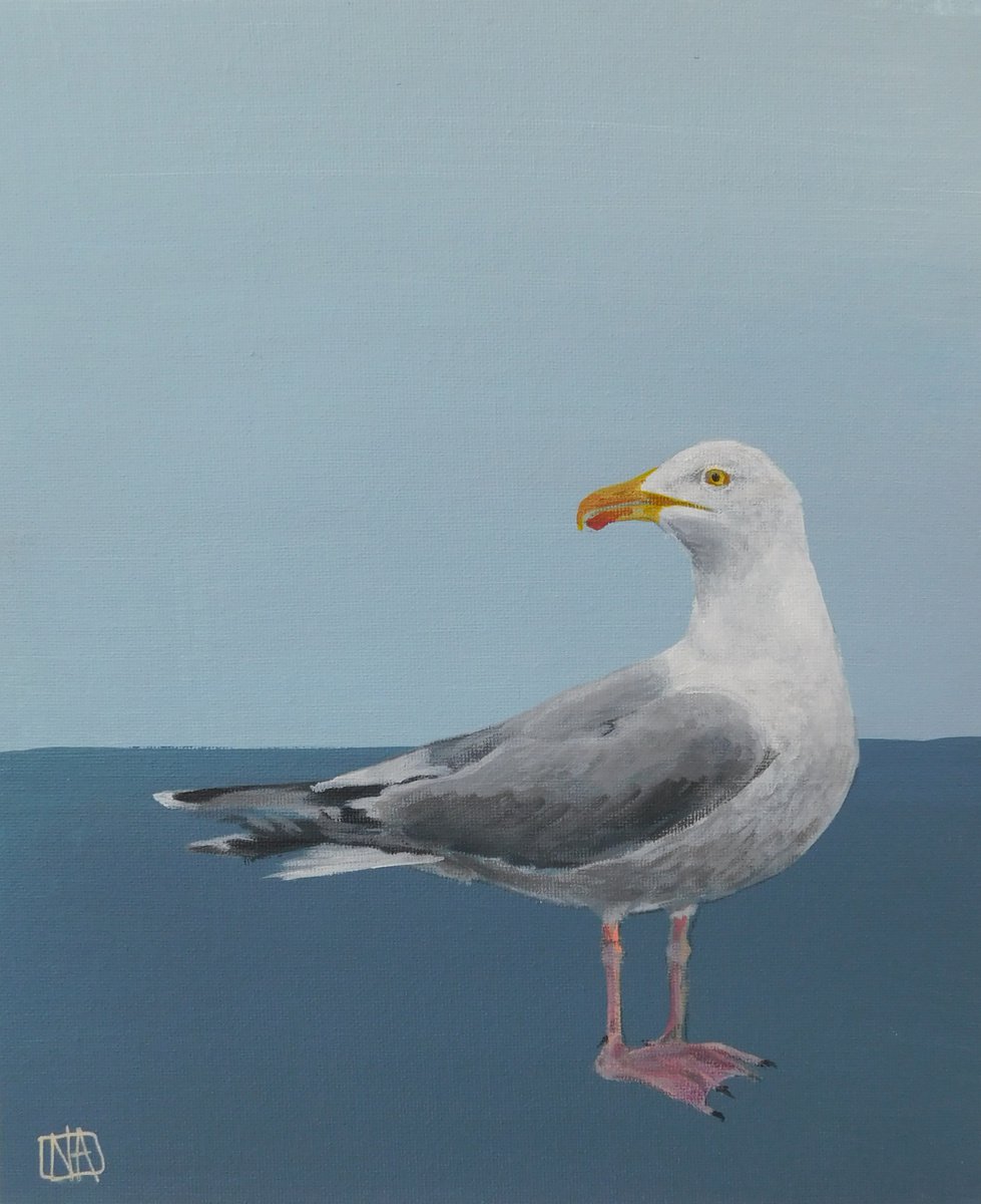 Seagull by Nichola Artemenko