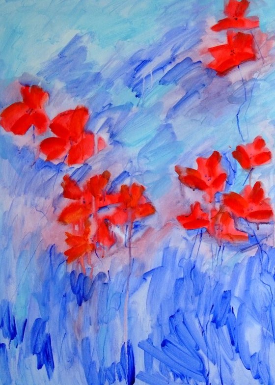 Blooming Red Poppies