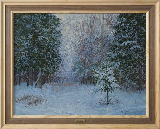 Winter forest
